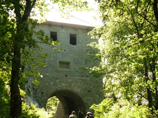 tisovec194.jpg