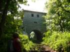 tisovec196_small.jpg