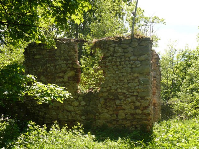 tisovec197.jpg