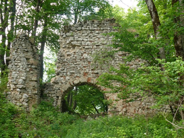 tisovec205.jpg